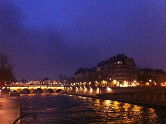 The Seine at night 