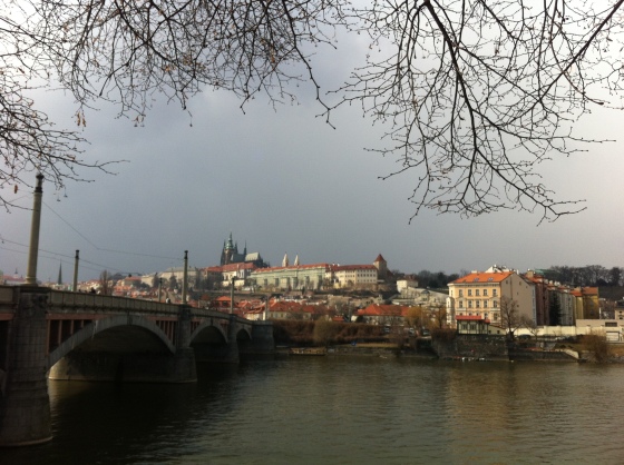 The Prague Castle 